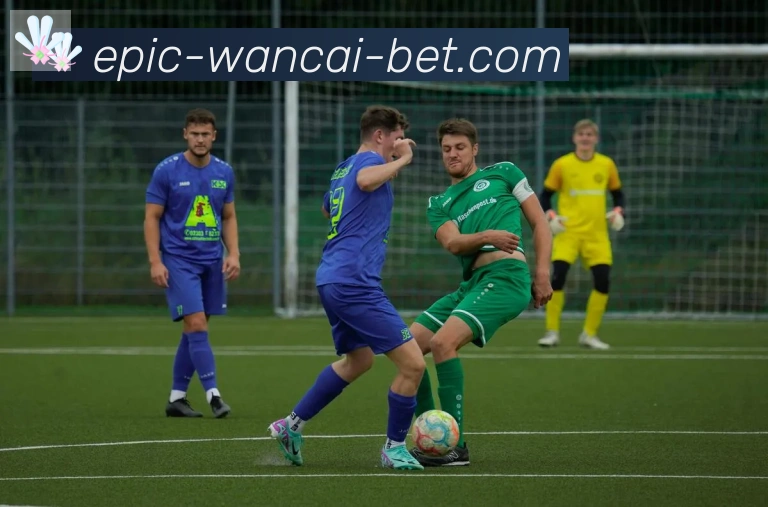 App 展示图